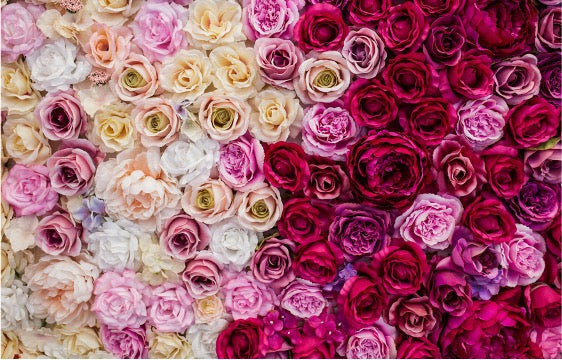 Wall Art - Tempered Glass 10117 Roses